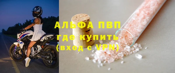spice Бородино