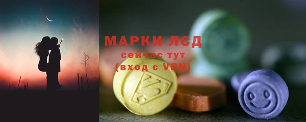 spice Бородино