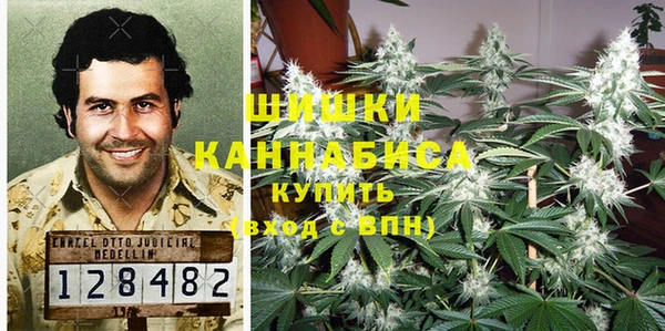 молекула духа Бронницы