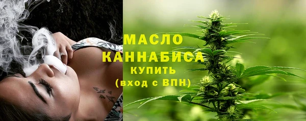 spice Бородино