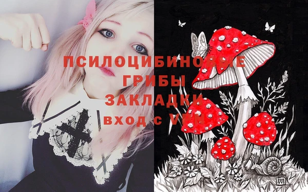 соль курить ск Верхний Тагил