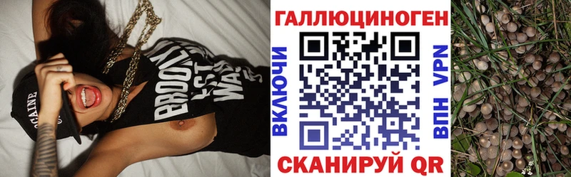 Псилоцибиновые грибы Magic Shrooms  Пушкино 